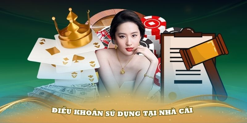 Đôi nét về nguyên tắc sử dụng tại hệ thống RS88